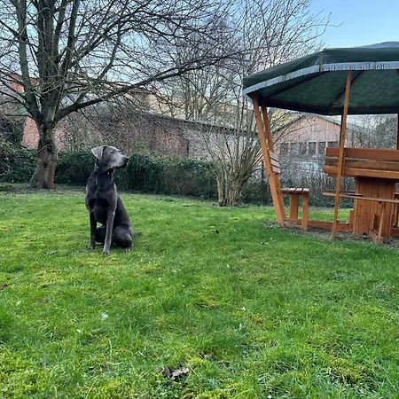 Apartamento N&n Altbau-apartments Naehe Schloss & Zentrum